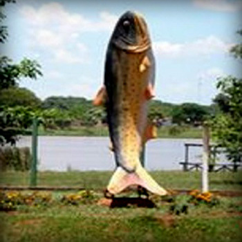 a pesca de dourado se tornou o cimbolo da cidade de dourados MS