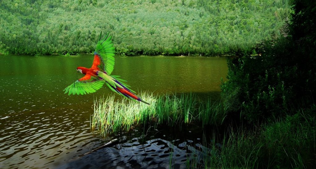 a preservação ambiental mantém intacto um paraiso como esse.