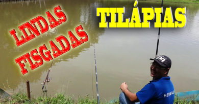 pescaria de tilapia em pesqueiro com molinete