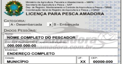 como tirar carteira de pesca amadora